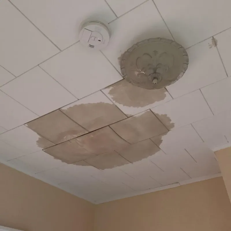 Ceiling Water Damage Repair in Jefferson County, MS