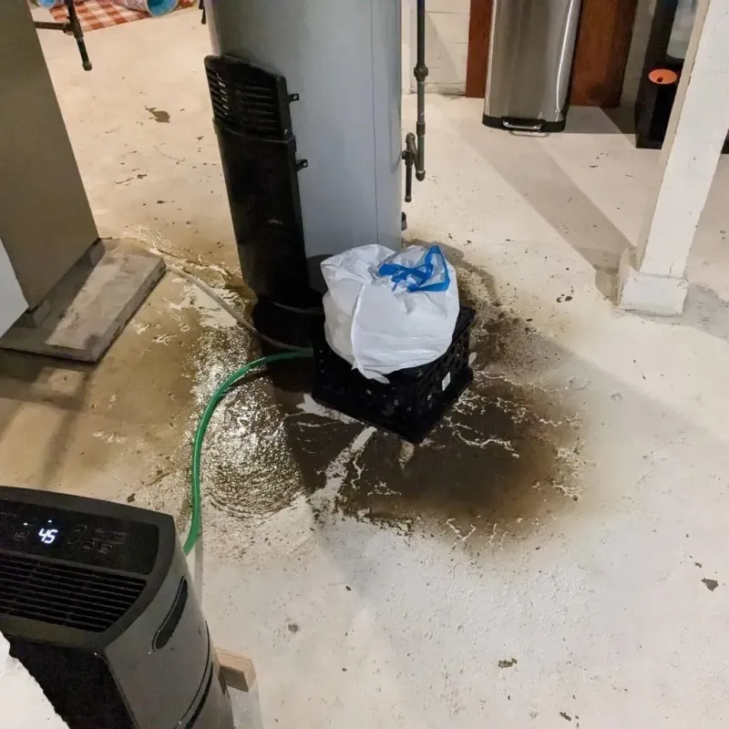 Sewage Backup Cleanup Service in Jefferson County, MS
